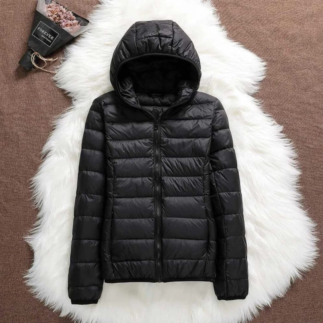 AURORA WINDPROOF JACKET